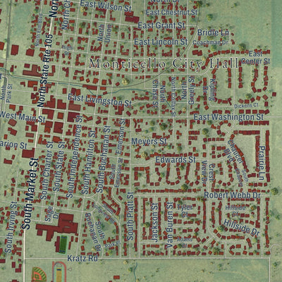 Close-up of the map of Monticello, Illinois print showing street and building detail