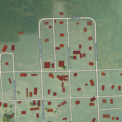 Close-up of the map of Arcadia, Kansas print showing street and building detail