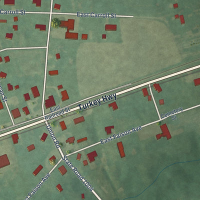 Close-up of the map of Turkey, North Carolina print showing street and building detail