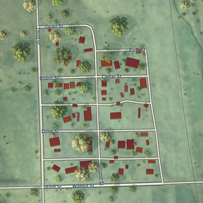 Close-up of the map of Tarnov, Nebraska print showing street and building detail