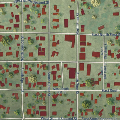 Close-up of the map of Stewardson, Illinois print showing street and building detail