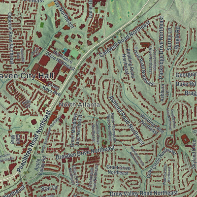 Close-up of the map of Brookhaven, Georgia print showing street and building detail