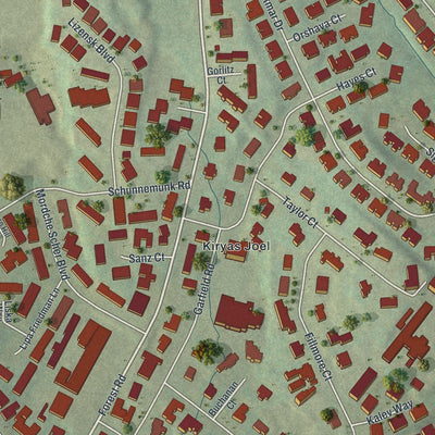 Close-up of the map of Kiryas Joel, New York print showing street and building detail