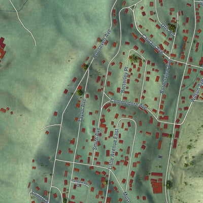 Close-up of the map of Biltmore, Tennessee print showing street and building detail