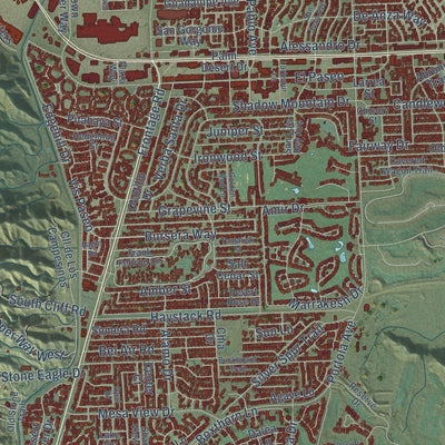 Close-up of the map of Palm Desert, California print showing street and building detail