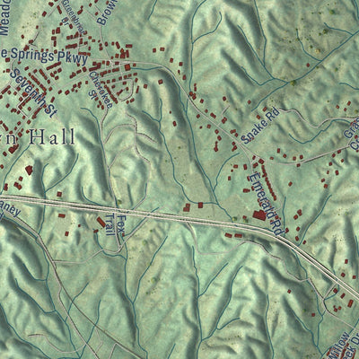 Close-up of the map of Mosheim, Tennessee print showing street and building detail