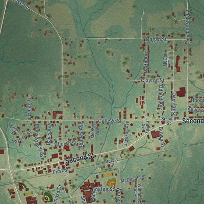 Close-up of the map of Pelahatchie, Mississippi print showing street and building detail