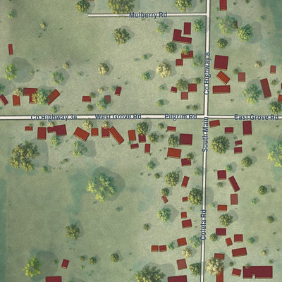 Close-up of the map of Coleta, Illinois print showing street and building detail