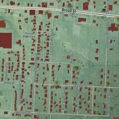 Close-up of the map of Bruceton, Tennessee print showing street and building detail