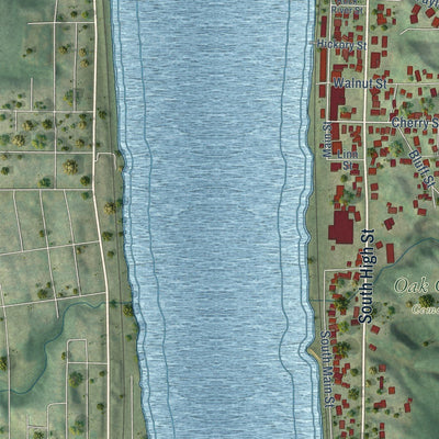 Close-up of the map of Port Byron, Illinois print showing street and building detail