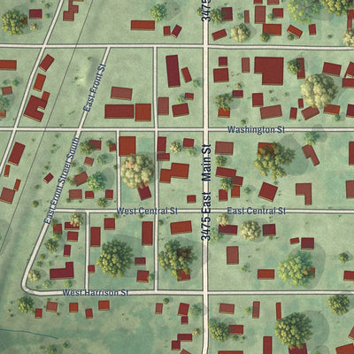 Close-up of the map of Sigel, Illinois print showing street and building detail
