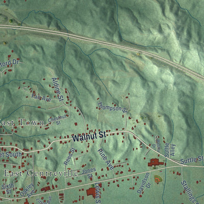 Close-up of the map of Centreville, Alabama print showing street and building detail