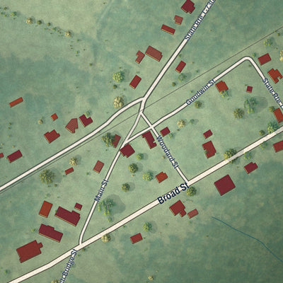 Close-up of the map of Branchville, Virginia print showing street and building detail