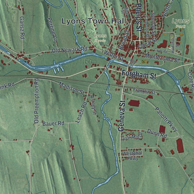 Close-up of the map of Lyons, New York print showing street and building detail