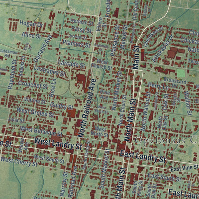 Close-up of the map of Opelousas, Louisiana print showing street and building detail