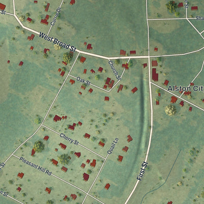 Close-up of the map of Alston, Georgia print showing street and building detail