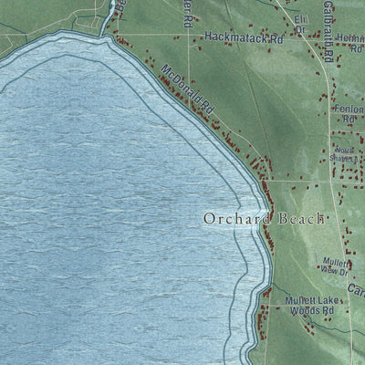 Close-up of the map of Benton, Cheboygan County, Michigan print showing street and building detail