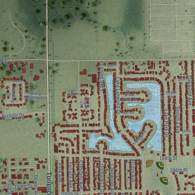 Close-up of the map of Lynwood, Illinois print showing street and building detail