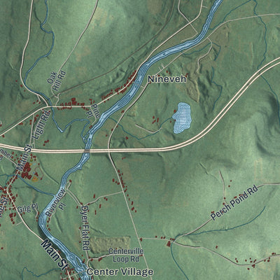 Close-up of the map of Colesville, New York print showing street and building detail