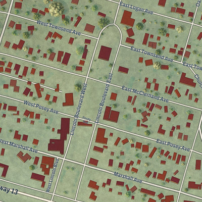 Close-up of the map of Shawneetown, Illinois print showing street and building detail
