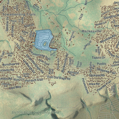 Close-up of the map of Penn Forest, Pennsylvania print showing street and building detail