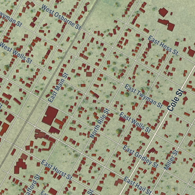 Close-up of the map of Bushnell, Illinois print showing street and building detail