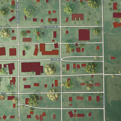 Close-up of the map of Petersburg, Nebraska print showing street and building detail
