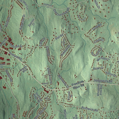 Close-up of the map of LaGrange, New York print showing street and building detail
