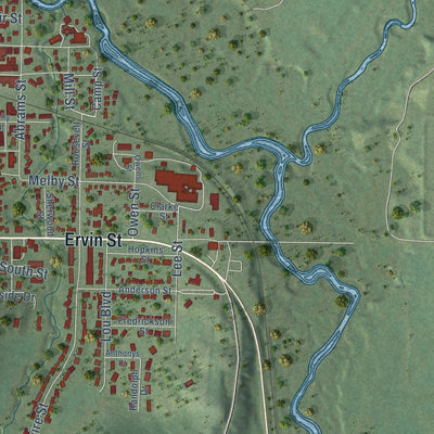 Close-up of the map of Whitehall, Wisconsin print showing street and building detail