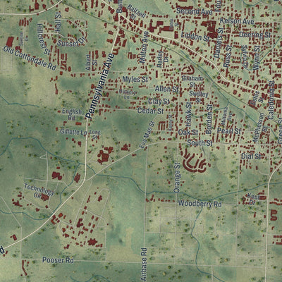 Close-up of the map of Marianna, Florida print showing street and building detail