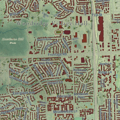 Close-up of the map of Woodridge, Illinois print showing street and building detail