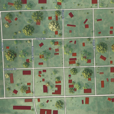 Close-up of the map of Swanton, Nebraska print showing street and building detail