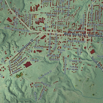 Close-up of the map of Bolivar, Tennessee print showing street and building detail