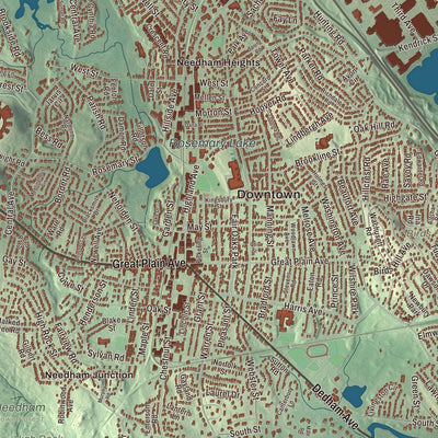 Close-up of the map of Needham, Massachusetts print showing streets and neighborhoods