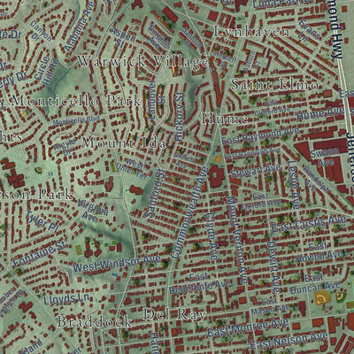 Close-up of the map of Alexandria, Virginia print showing street and building detail