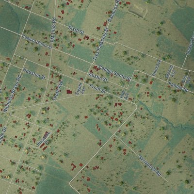 Close-up of the map of San Felipe, Texas print showing street and building detail