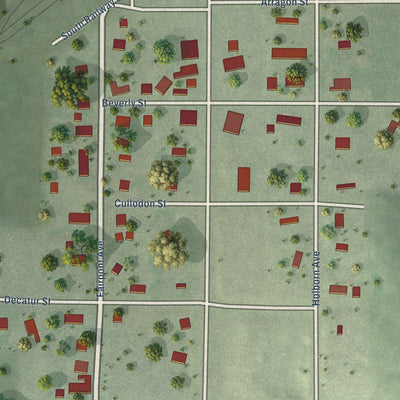 Close-up of the map of Danbury, Nebraska print showing street and building detail