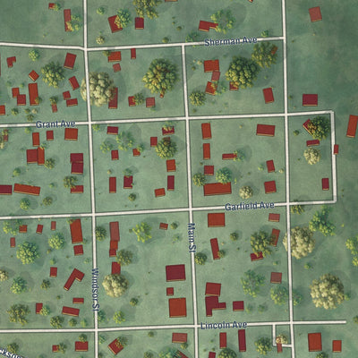 Close-up of the map of Volin, South Dakota print showing street and building detail