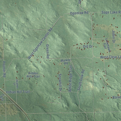 Close-up of the map of Foster, Michigan print showing street and building detail