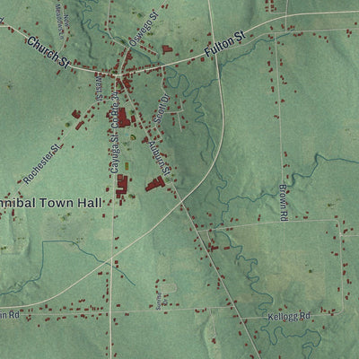 Close-up of the map of Hannibal, New York print showing street and building detail
