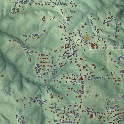 Close-up of the map of Rutherford College, North Carolina print showing street and building detail