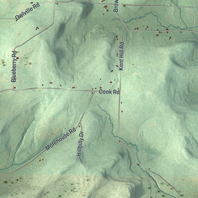 Close-up of the map of Woodhull, New York print showing street and building detail
