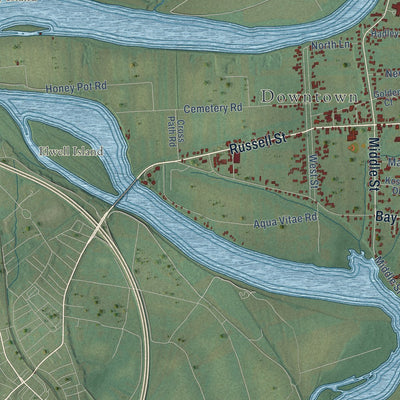 Close-up of the map of Hadley, Massachusetts print showing street and building detail