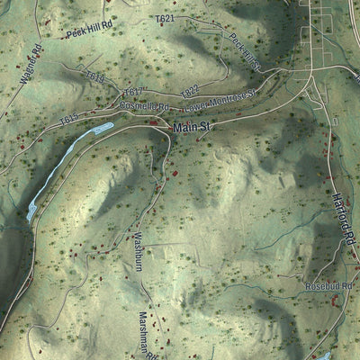 Close-up of the map of New Milford, Susquehanna County, Pennsylvania print showing street and building detail