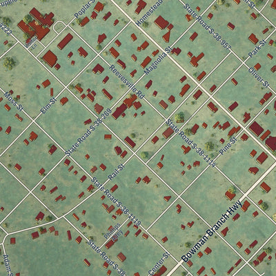Close-up of the map of Bowman, South Carolina print showing street and building detail