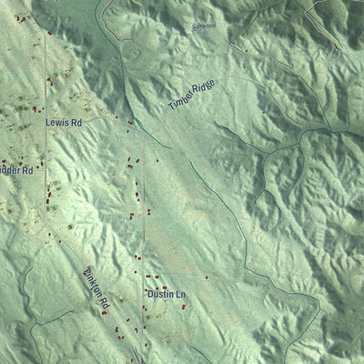 Close-up of the map of Echo, Michigan print showing street and building detail