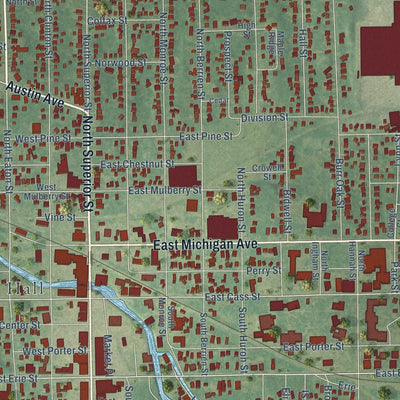 Close-up of the map of Albion, Michigan print showing street and building detail