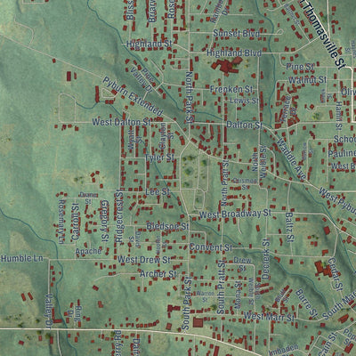 Close-up of the map of Pocahontas, Arkansas print showing street and building detail