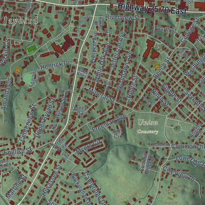 Close-up of the map of Newport, Tennessee print showing street and building detail
