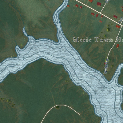 Close-up of the map of Mesic, North Carolina print showing street and building detail